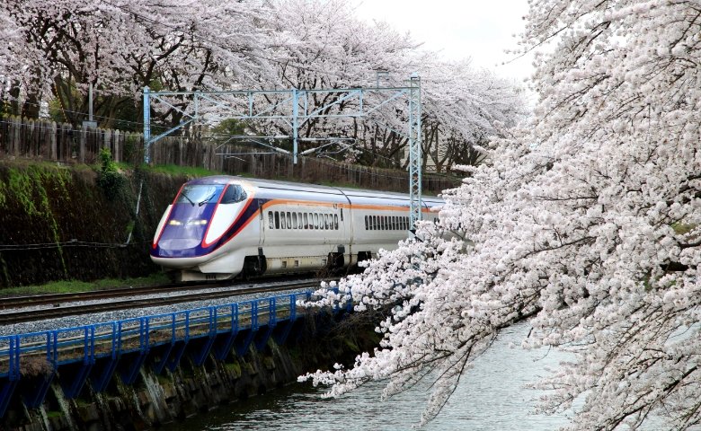 （出典：東京俳優・映画&放送専門学校）
