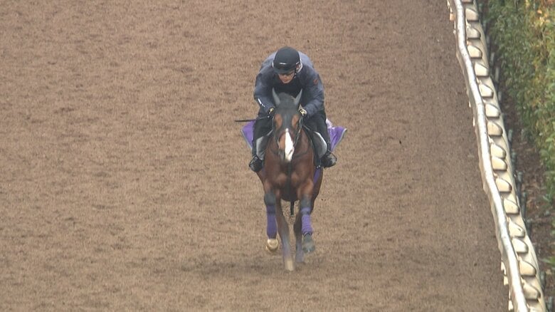 最終追い切りに臨むアドマイヤクワッズ