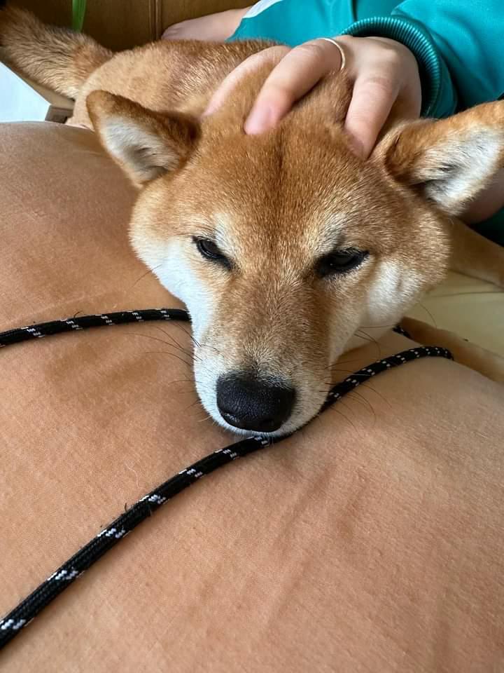 提供：カンさん