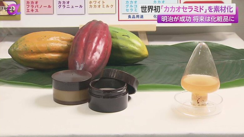 明治が世界初のカカオ由来の保湿成分「カカオセラミド」の素材化に成功