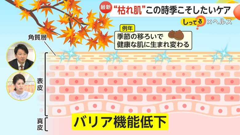 冬の乾燥により炎症やシミ、シワを引き起こす肌の仕組み⑤