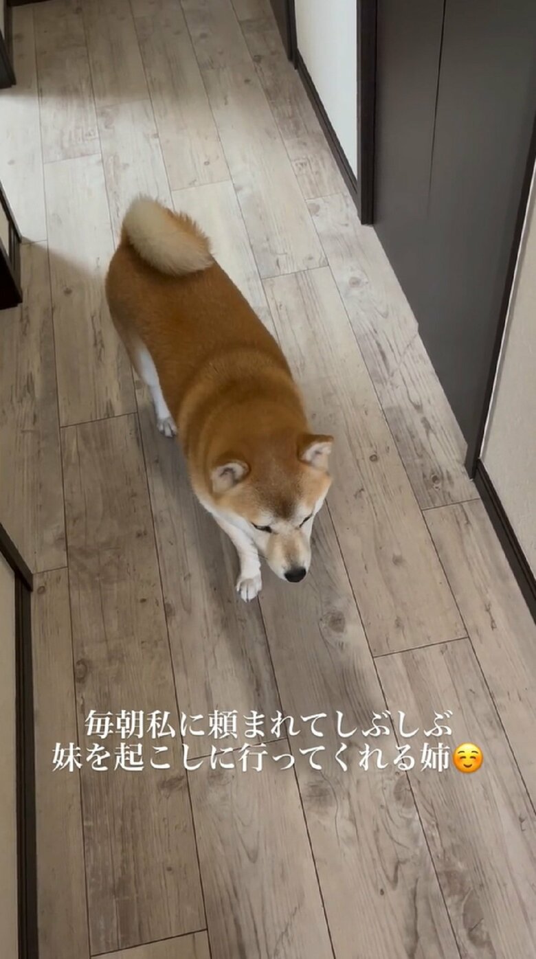 「どうしようかな…」
