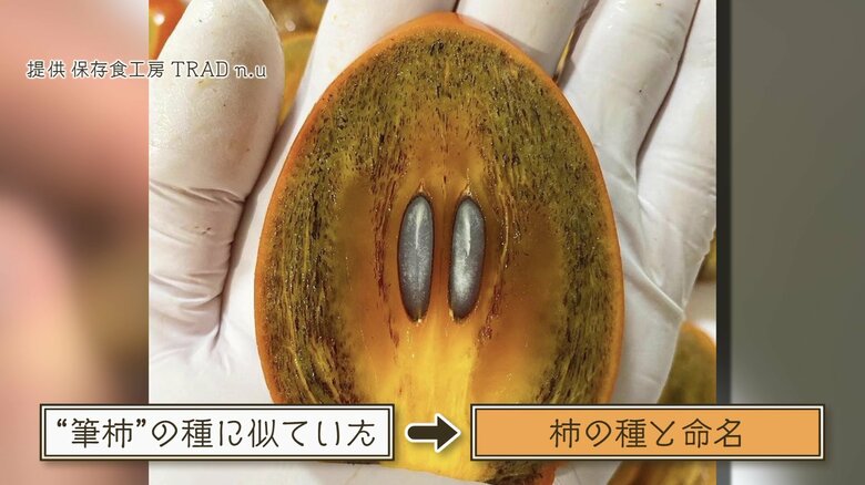 筆柿の種に似ていたことで命名