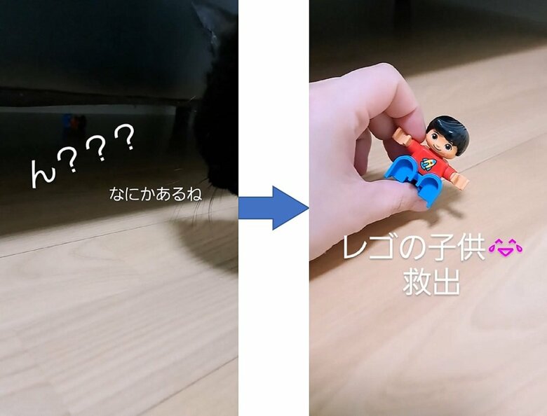 ソファ下からおもちゃが発見された！