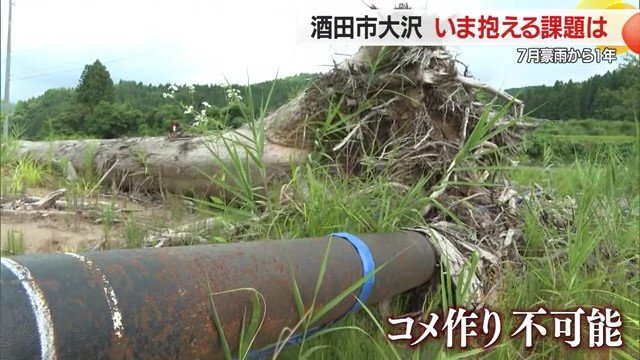 流木など流入したものを取り除くだけで、コメ作りができる田んぼに戻るわけではない