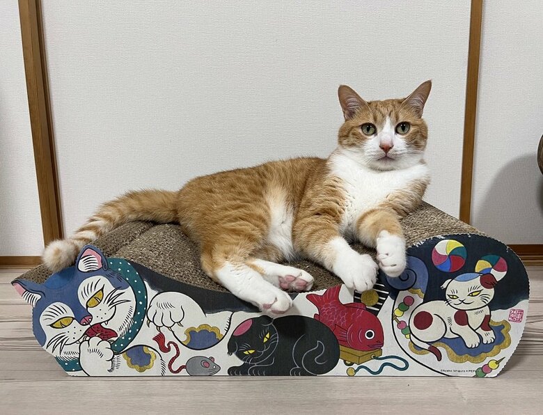 クウちゃん