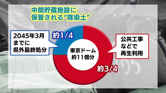 除染土の処分