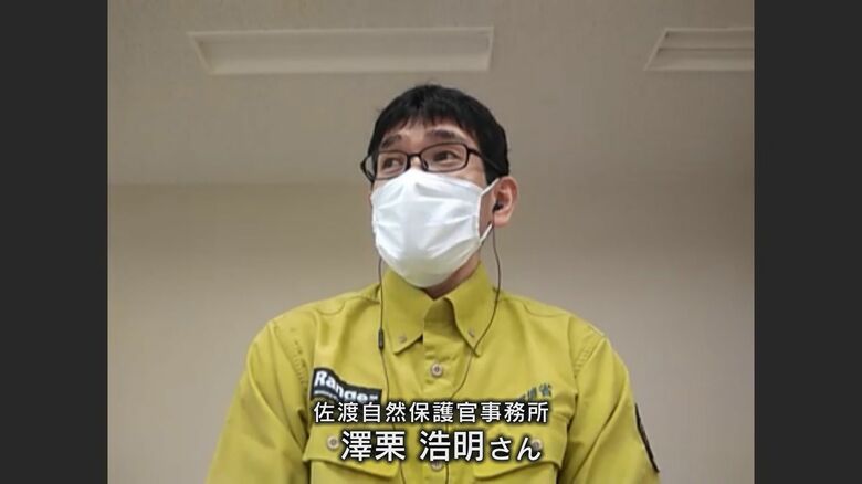 地域をあげて「トキと生きる気持ち」が必要と澤栗さん