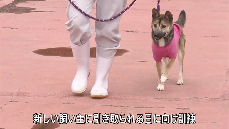 譲渡の前に