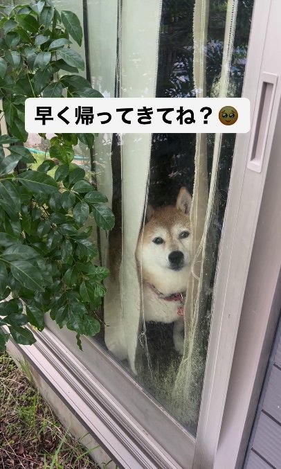 提供：橋本真実さん