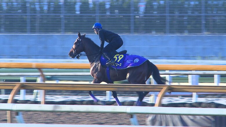 1週前追い切りを行うドウデュース