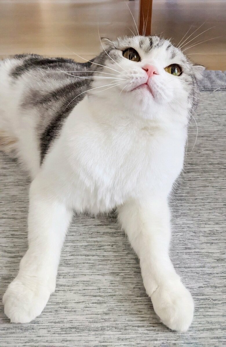 お風呂終わりのふわふわな倫太郎くん