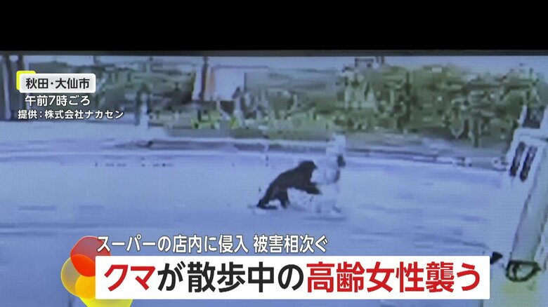 防犯カメラが捉えた、クマが高齢女性に襲いかかる瞬間⑪