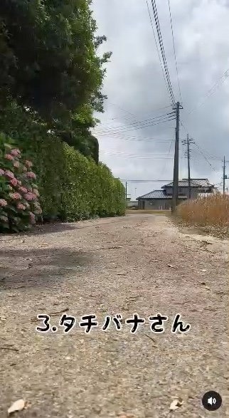 提供：タチバナさんの毎日ルーティン