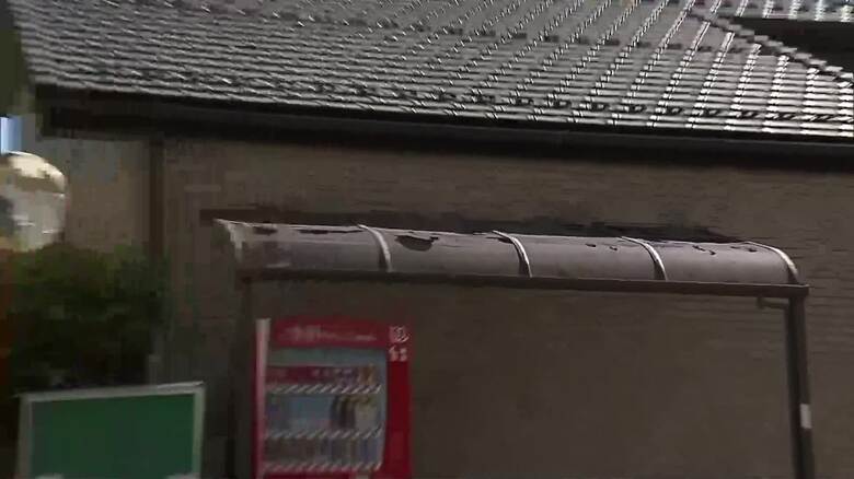 ひょうの被害の様子