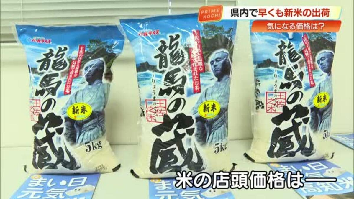 今週採れたて新米！高知県産24キロ✨送料込み 楽天市場】【お盆～発送予定】コシヒカリ 高知県産 2025 新米