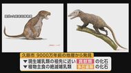 久慈市で恐竜時代の哺乳類化石発見　新種の可能性　岩手県