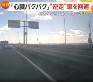 「ギャーってハンドル切って」正面から迫る逆走車にあわや衝突「心臓バクバク」　夜道で飛び出したイノシシにびっくり