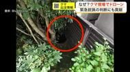 仙台市中心部に居座ったクマの緊急銃猟にドローンの活躍？　猟友会所属の操縦士がカメラにクマを捉える