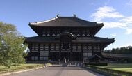 【速報】奈良の興福寺・東大寺の境内などで“体の一部が欠損した”子ジカの死骸が計4体見つかる　県は死亡原因が“野生動物の捕食”か調べるとともに“人による疑い”も考慮し警察に情報提供　県や警察が警戒強化