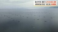 垂水市牛根　養殖ブリ2万3000匹に被害 　台風接近後に発生？　錦江湾に赤潮警報