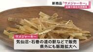  気仙沼港のヨシキリザメがサメジャーキーに　宮城県内の企業と高校生が共同開発