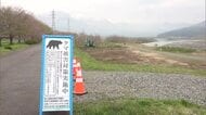 【クマ】去年は死者数“過去最多”に…被害防止へ河川敷で樹木の伐採始まる「葉っぱ生い茂ると隠れやすく…」