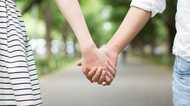 結婚「しない」?「できない」?カギ握る“結婚の理想”と“男女数の地域差”