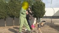 刑務所から再スタートへ…暴力受けて育った受刑者と里親に見放された保護犬 リードで伝え合う思いやりと信じる心