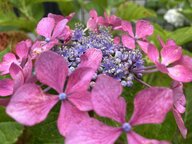 四国と九州北部が梅雨入り　今年は“短期集中”大雨リスクに注意を　沖縄は梅雨明け