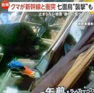 「夏の終わりは空腹」クマの出没相次ぐ…宮城でマスカット500房食い荒らす　山形新幹線と衝突　宮城で七面鳥“襲撃”も