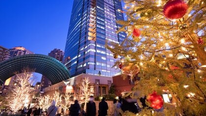 次“今季最強寒波”が全国にやってくるのは「クリスマス頃」？　しばらくは“北”限定か