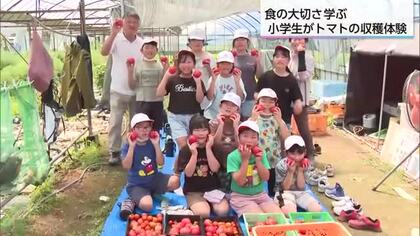 「トマトスープの味がした！」収穫したての完熟トマトに子どもたち大興奮　串間市での食育体験