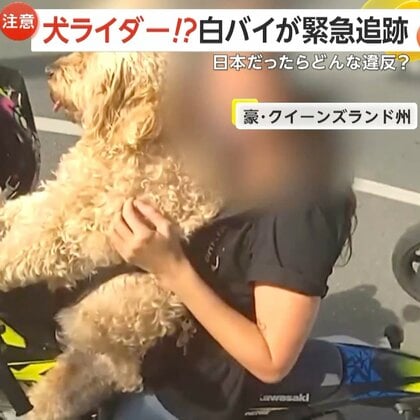 【仰天】犬がバイクを運転!?ハンドルに前脚かけ…白バイが緊急追跡　女性ライダーに反則金「暴れたら大変なことに」　オーストラリア