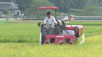 暑さに強い品種「なついろ」 三重県紀宝町で早場米の稲刈り始まる 猛暑でも例年通りの品質に