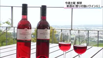 みやざきワインの解禁を前に　クオリティの高い仕上がり　都農ワイン