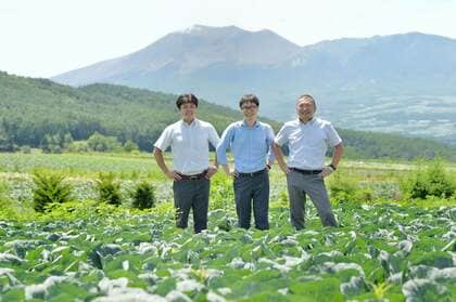夏秋キャベツの収穫量日本一!キャベツといえば嬬恋村