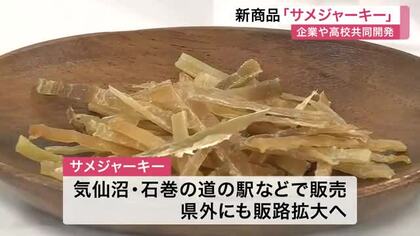  気仙沼港のヨシキリザメがサメジャーキーに　宮城県内の企業と高校生が共同開発