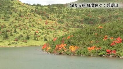 福島・吾妻山で紅葉を楽しむ　樋沼や鎌沼では見ごろ　まもなく磐梯吾妻スカイラインでも盛りに
