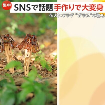 ガラスの靴も「神のいたずらみたいな瞬間」で完成…SNSで話題の“洗濯バサミアート”