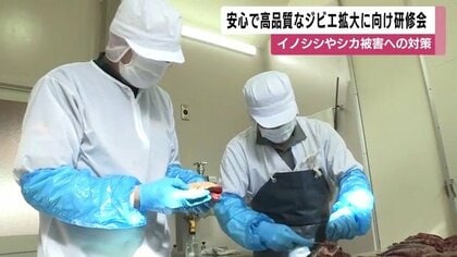 鳥獣被害対策に“食”で挑む 鹿児島でジビエ研修会 イノシシ・シカを安全に流通へ