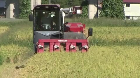 奥州市で稲刈り始まる　岩手県