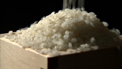 JAグループなどのコメ販売価格が過去3番目の高値に　需給緩和の見方の中で価格下げた取引増えたと農水省見解