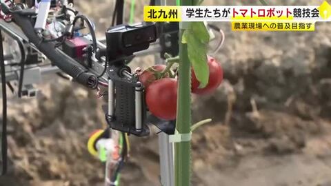 トマトの収穫の速さと精度を競う「トマトロボット競技会」　大学や高専などから１４チームが出場　北九州市若松区