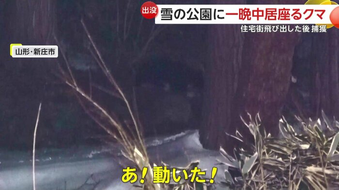 暗闇の中で蠢く黒い影