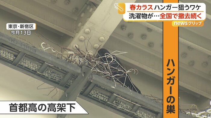 ハンガーで巣作りをするカラス（東京・新宿区）