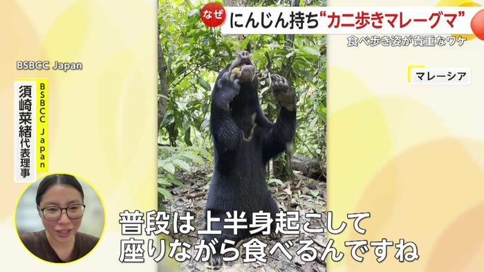 いつものロモリナちゃんの食事風景