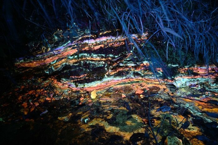 ⿅追町産地における北海道⽯を含むオパールの産状（横幅 60 センチ。紫外線照射下。⻩⾊〜⻩緑 ⾊蛍光を⽰す部分が北海道⽯を含むオパール層）[提供：相模中央化学研究所 田中陵⼆・主任研究員]