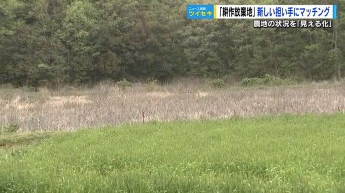 奥が耕作放棄地 広島県尾道市