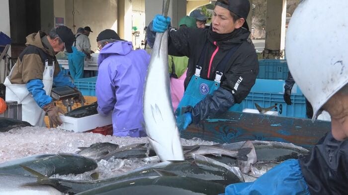 大きさで選別していく